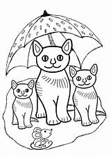 Poesjes Parapluie Hugolescargot Kittens Coloriages Partager Downloaden Uitprinten sketch template