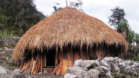 gambar desain rumah adat papua timur  barat honai