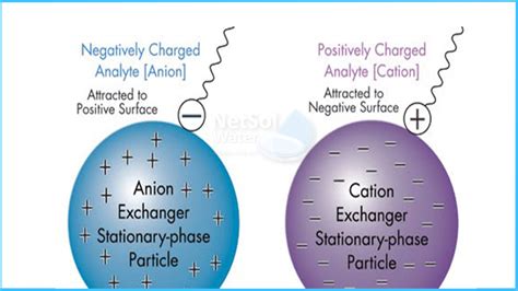 ion exchange resins   types  ion exchange resins