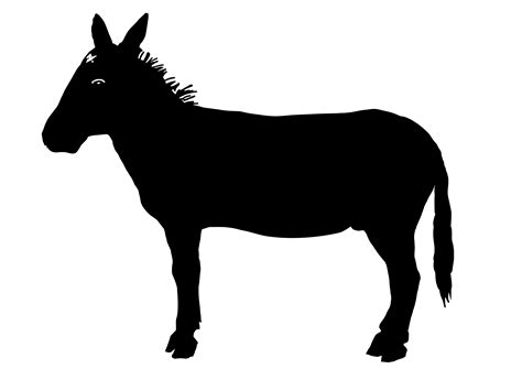 donkey clipart outline donkey outline transparent