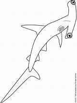 Shark Hammerhead Coloring Colouring Kids sketch template