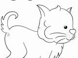 Cat Coloring Letter Pages sketch template