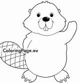 Beaver Cute Coloringpage sketch template