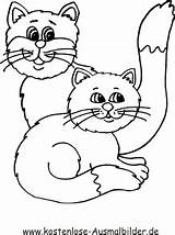 Katzen Katze Kater Tiere Malvorlagen Dein Klicke Auszudrucken Hier sketch template