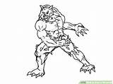 Werewolf Wolfman Lobisomem Outline Getcolorings Desenhar Getdrawings sketch template