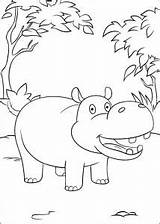 Hippo Mitraland Hippopotamus sketch template