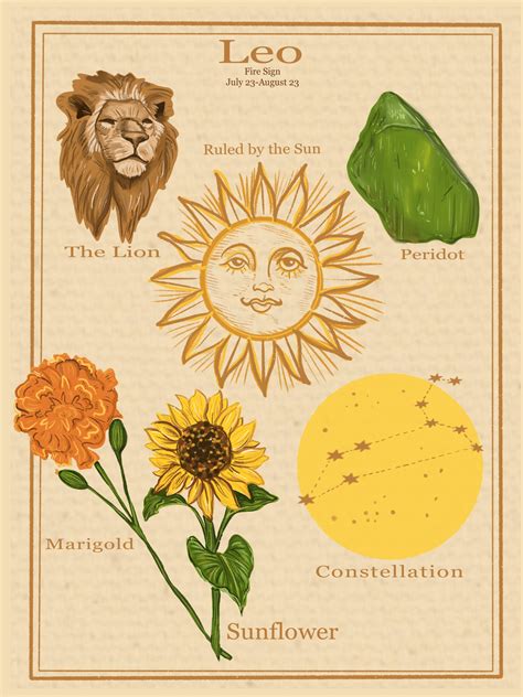 zodiac astrologie vintage style poster leo etsy
