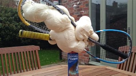 Expanding Foam Goes Off In Garden Shed And Something Beautiful