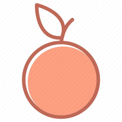fruit orange icon