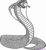 Coloring Cobra King Snake Pages Popular sketch template