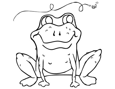 printable toad coloring pages  kids