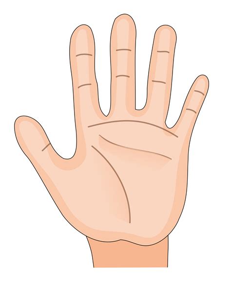 palm  hand clipart   cliparts  images  clipground