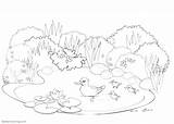 Pond Coloring Pages Ducks Happy Swimming Printable Kids Adults Print Color sketch template