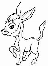 Coloring Pages Donkey Donkeys Print Preschool Coloringkids sketch template