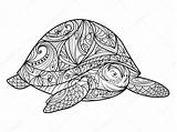 Schildpad Volwassenen Kleurboek Kleurplaat Mewarn15 Stockvector sketch template