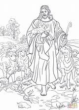 Coloring Jesus Shepherd Good Pages Supercoloring Printable Sheep Color Am Clipart Lamb Parable Adult Kids Drawing Sheets Catechesis Adults Template sketch template