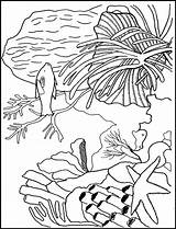 Coral Coloring Reef Pages Kids Template Underwater Flowers Drawing Printable Color Reefs Vibrant Nature Books Outline Worksheets Gif Drawings Simple sketch template