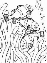Coloring Fish Pages Clown Sea School Anemone Ray Fishes Color Loaves Coral Tank Printable Drawing Colouring Getcolorings Getdrawings Colorings sketch template
