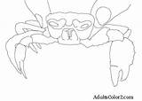 Crab Coloring Ghost Pages Designlooter 360px 03kb sketch template