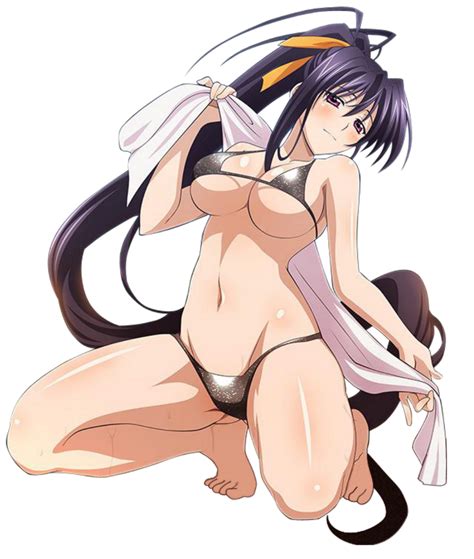 Akeno Himejina Sexy Bikini By Borregoat7 On Deviantart