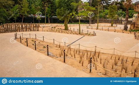 windende weg  de dierentuin van barcelona stock afbeelding image  zonlicht landelijk