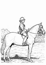 Horse Coloring Pages Horses Riding Competition Color Horseback Getcolorings Printable Print Choose Board sketch template