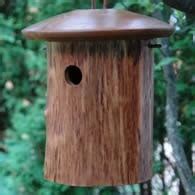 bird houses choosing placing cleaning answered