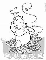 Pooh Bear Pages Color Coloring Popular Colouring sketch template