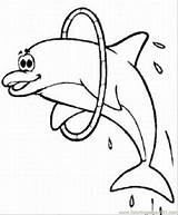 Dolphin Coloring Print Color Popular sketch template