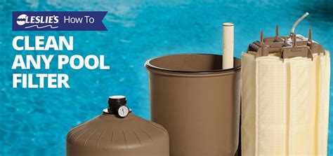 clean  sand filter pool grow capassicer