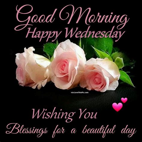 good morning happy wednesday wishing  blessings   beautiful day pictures