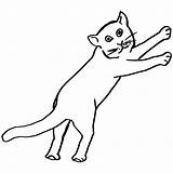 Jumping Cat Drawing Coloring Getdrawings sketch template
