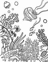Coral Reef Coloring Pages Drawing Reefs Barrier Great Ocean Easy Printable Color Sheet Sea Kids Coloringcafe Drawings Sheets Fish Colouring sketch template