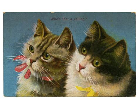Vintage Cats Postcard Signed Artist Antique Ephemera B B Etsy