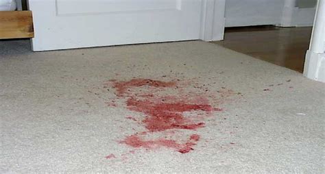 blood spills  carpeted floors