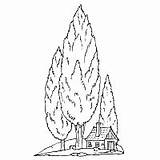 Coloring Surfnetkids Tree Tall House Previous sketch template