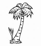 Palme Ausmalen Palmen Malvorlagencr sketch template