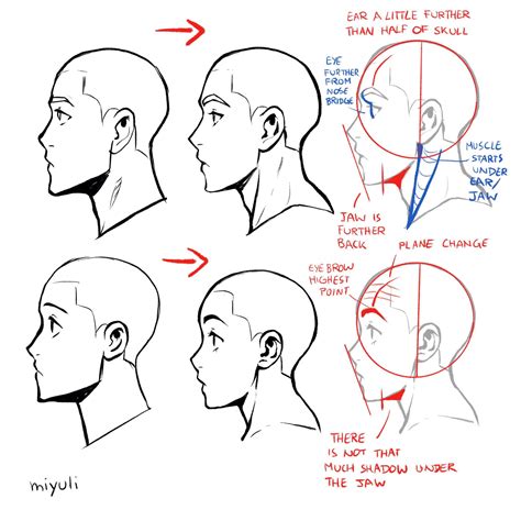 draw faces profile view drawing tutorial face drawing heads