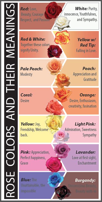 the color scheme for roses in different colors and sizes with text