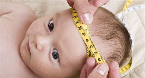 measure head circumference length  weight  babies
