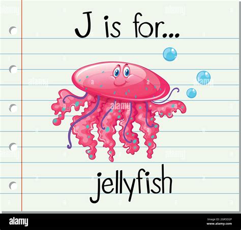 flashcard letter    jellyfish stock vector image art alamy