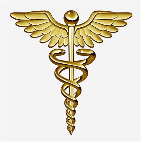 caduceus medical symbol  healthy vein