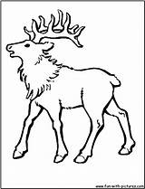 Elk Alce Printable Colorir Rocky Gritando Hunting Tudodesenhos Pintarcolorir Library Coloringhome sketch template