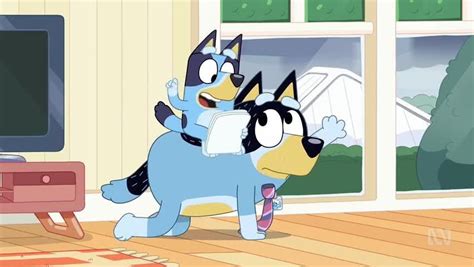 bluey season 1 episode 31 work watch cartoons online watch anime