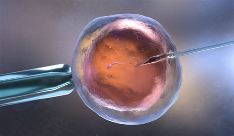 Assisted Reproduction And Genetics Sperm Or Egg Donation