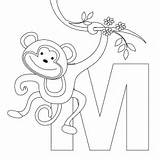 Macaco Monkeys Tudodesenhos Imprimir Colorir sketch template