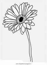 Gerbera Daisy Coloring Gerber Pages Drawing Getdrawings Drawings Getcolorings Printable 55kb 860px sketch template