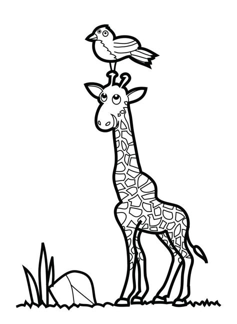 printable giraffe coloring pages  kids animal coloring pages