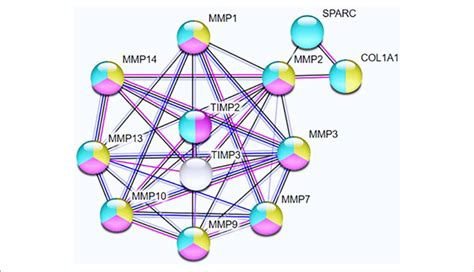 network nodes represent query proteins   shell