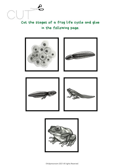 frog life cycle kids learning activities science printables etsy